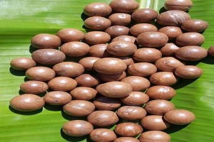 Macadamia nuts from Kenya