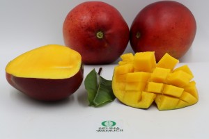 Tommy Atkins Mangoes from Kenya