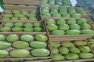 Avocadoes, Mangoes,Passion and Flowers. from Kenya