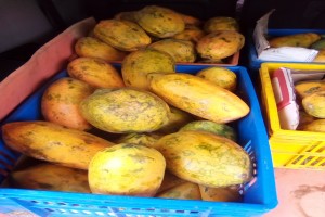pawpaw (Papaya) from Kenya