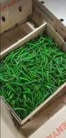 Green Chilies from Kenya