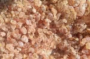 Gum arabic( Acacia senegal) from Kenya