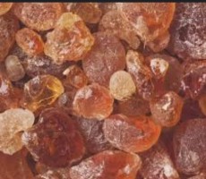 Gum Arabic from Kenya