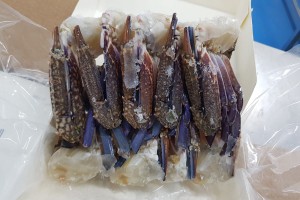 Blue crab from South Korea