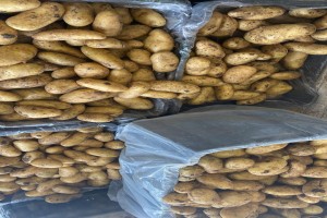 Potatoes from Lebanon
