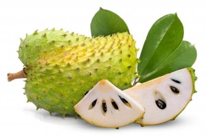 Soursop from Topical Ceylon from Sri Lanka