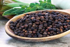 Cinamon from Sri Lanka