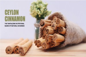 Ceylon cennamon from Sri Lanka