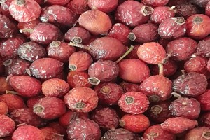 Thiby Rosehip from Lesotho