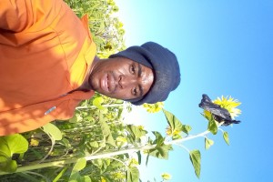 Sunflower seeds from Lesotho