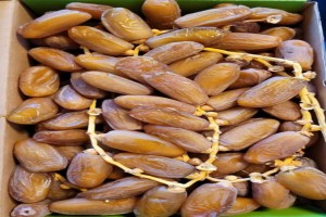 Dates from Algeria