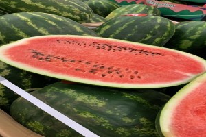 Watermelon from Morocco