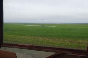 Barley from Macedonia,North