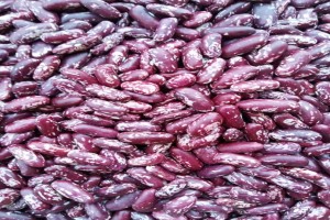 Beans from Malawi