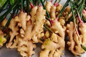 Ginger from Malawi