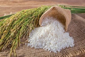 Kilombelo  Aromatic Rice from Malawi