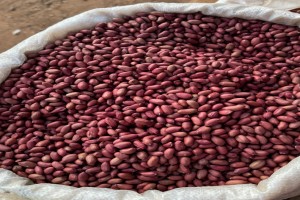 Red Groundnuts from Malawi
