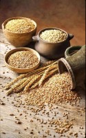 wheat flour from Malaysia