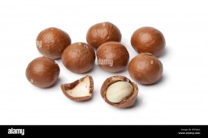 Macadamia Nut in Shell from Mozambique
