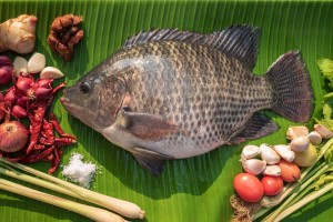 Namibian Tilapia from Namibia