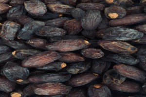 Dates from Namibia