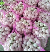 Garlic 🧄 from Nigeria
