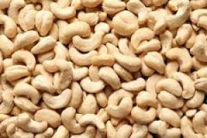 Cashew Nuts from Nigeria