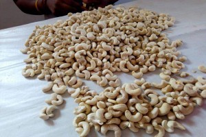 Cashew nuts from Nigeria