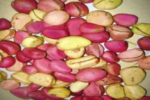 Kolanut from Nigeria