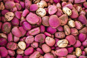 Kola nuts from Nigeria