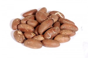 Bitter Kola Nuts from Nigeria