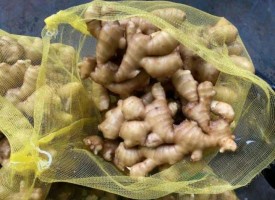 Fresh Ginger from Nigeria