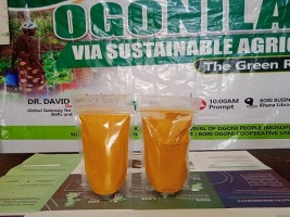 ORGANIC TURMERIC from Nigeria