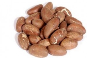 Bitter kola from Nigeria