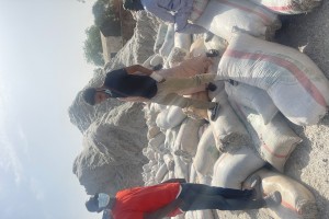 Cottonseed from Nigeria
