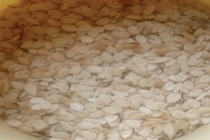 Melon seed(Egusi) from Nigeria