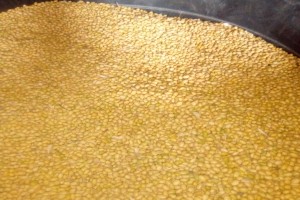 Yellow soybeans from Nigeria