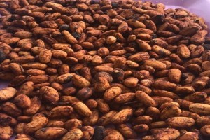 Cocoa beans from Nigeria