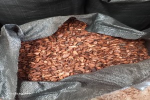 Cocoa shells from Nigeria
