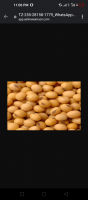 Soya beans and maize from Nigeria