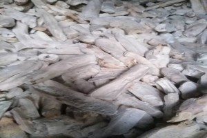 Casava Chips from Nigeria