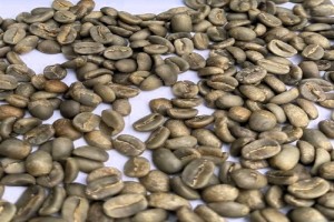 coffee green beans from Papua New Guinea