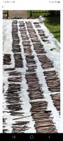 Vanilla from Papua New Guinea