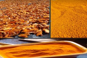 Turmeric from Papua New Guinea