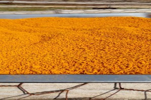 100% Organic Tumeric Powder from Papua New Guinea