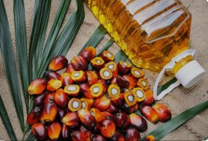 Oil palm Cooking Oil from Papua New Guinea