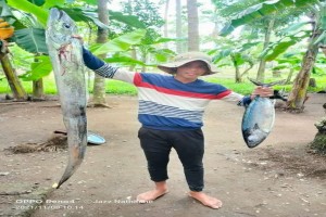 Jerom Pilapil B. from Philippines