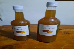 TUBIOTIC - COCO WINE WITH PROBIOTIC from Philippines