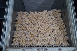 potatoes from Pakistan