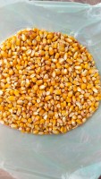Corn from Pakistan